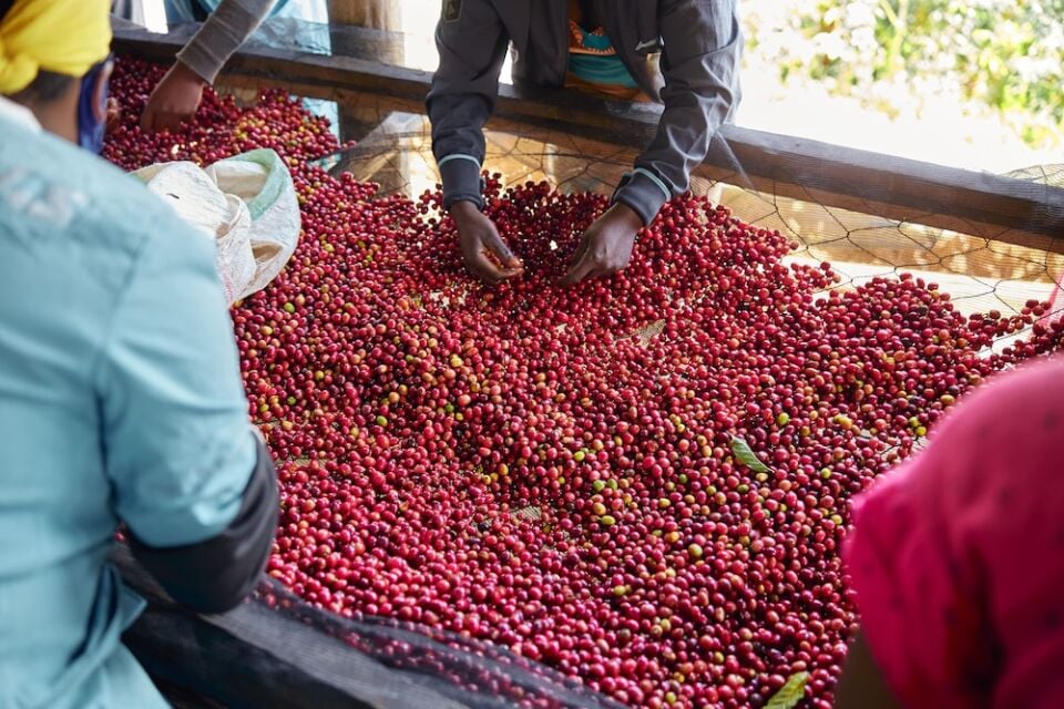 Ethiopia